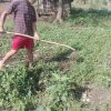 Donaciones para la Aldea Guaporaity